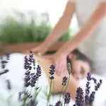 Romo Wellness And Дом отдыха Sonderby (Romo)
