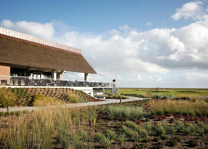 Romo Wellness And Feriehus